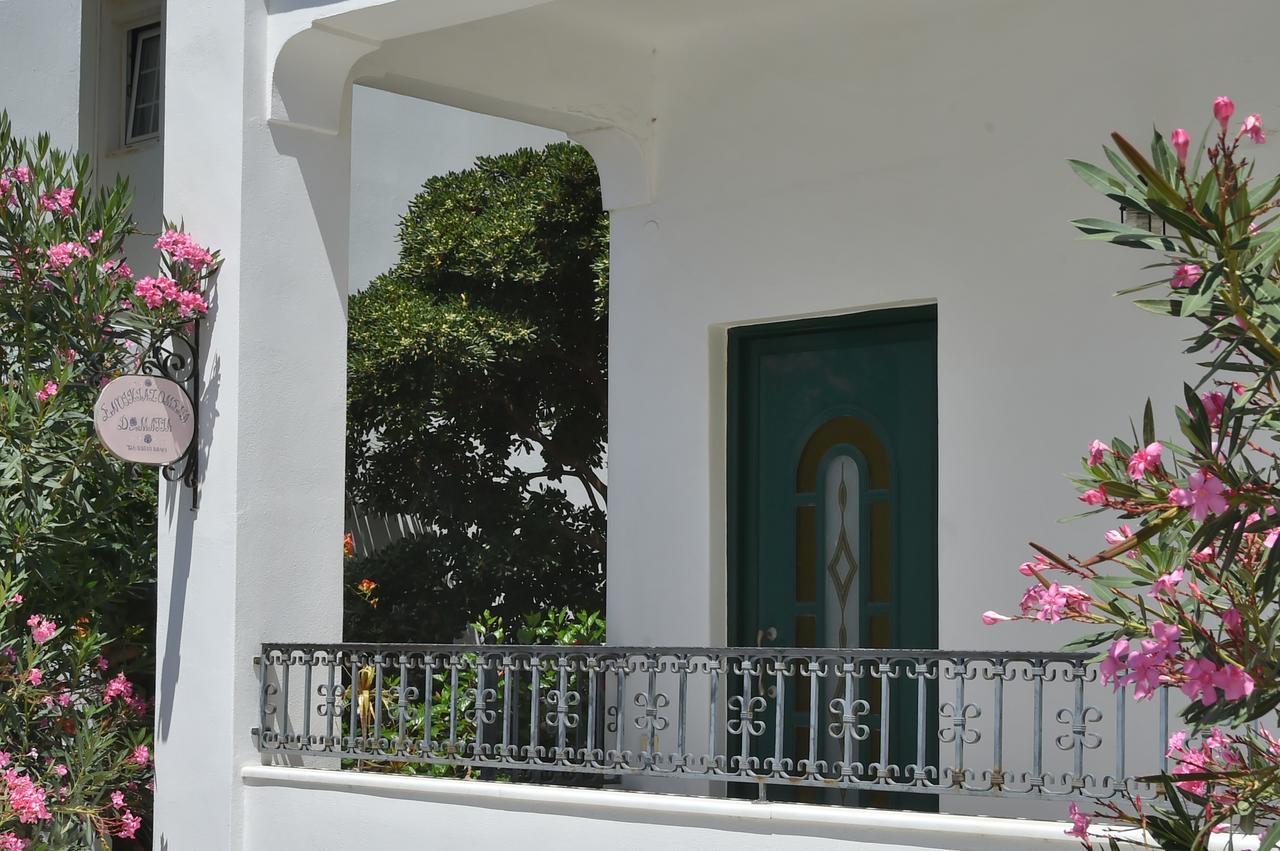 Hotel Πικροδάφνες Tínos Exterior foto